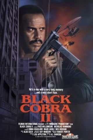 Cobra negra II