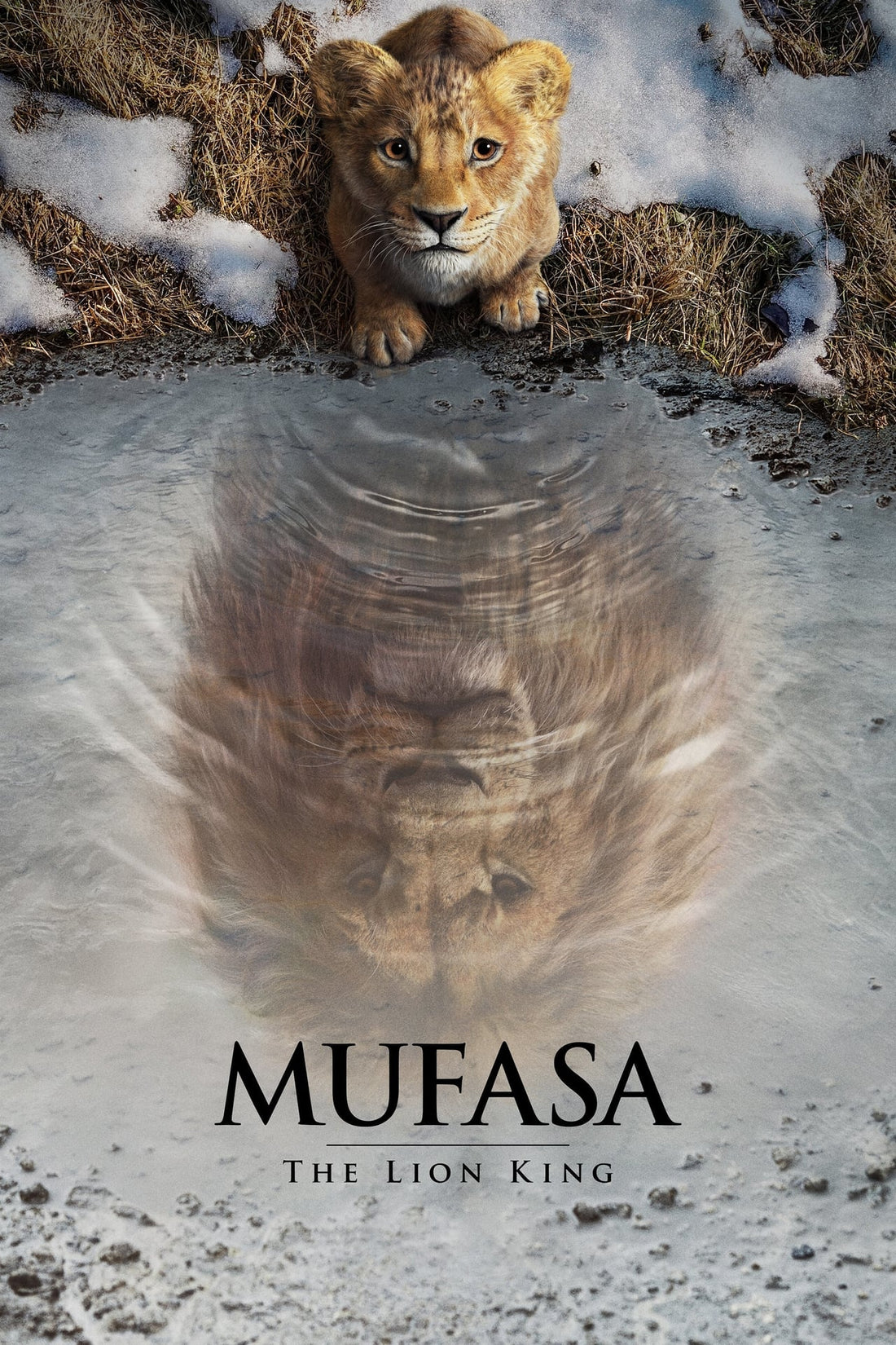 Dónde mirar Mufasa: El Rey León 