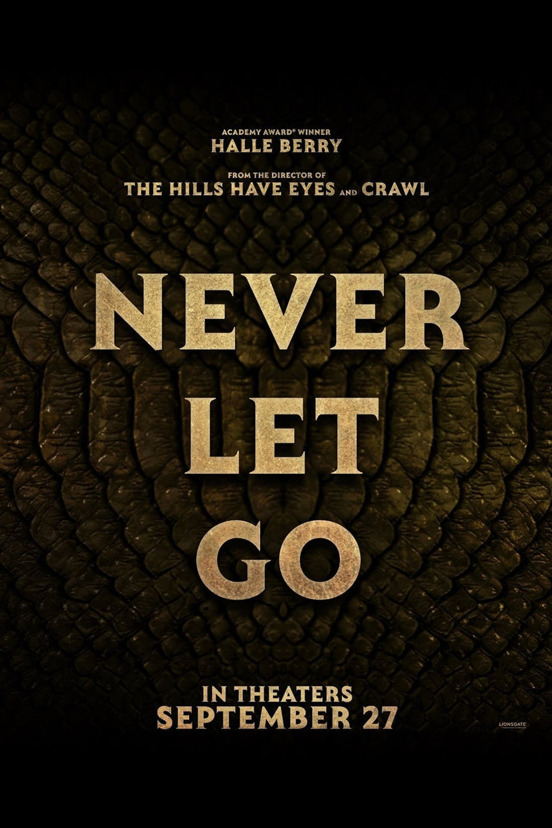 Where To Watch Never Let Go 