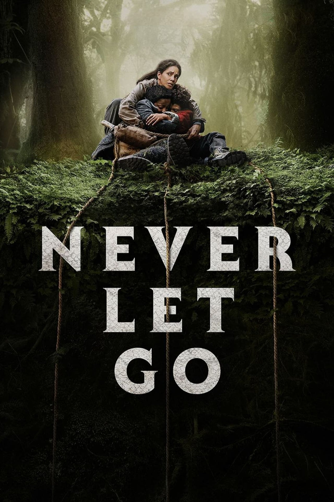 Where To Watch Never Let Go 