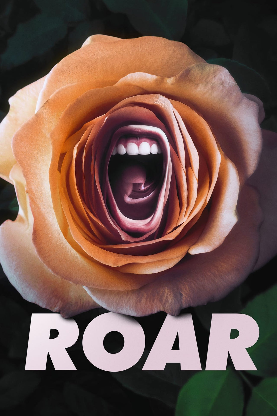 Where To Watch Roar 